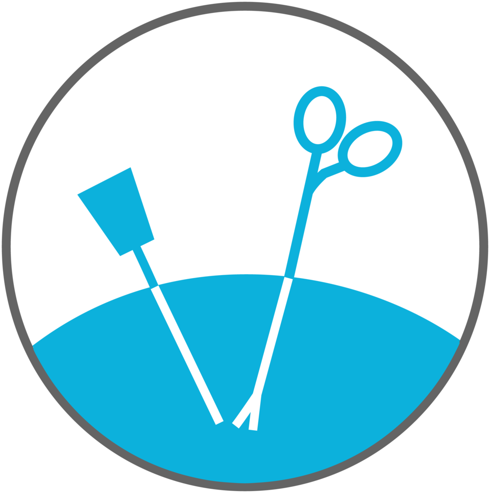 Simorgans humanx mmm gmbh. Liver clipart huma