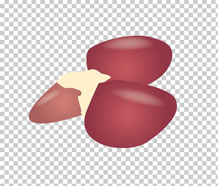 Liver clipart liver food. Zosui chicken as horumonyaki