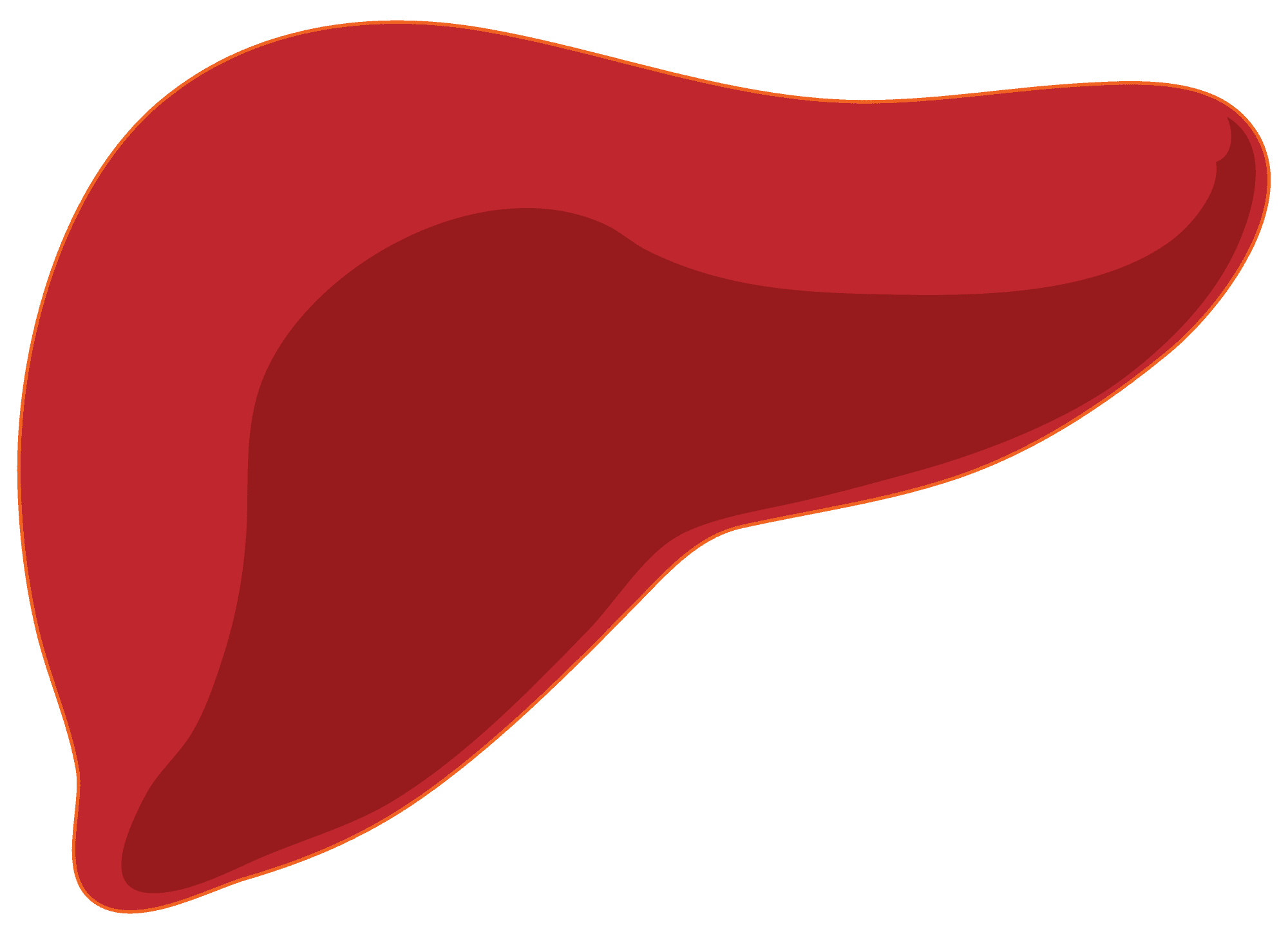 Liver liver food