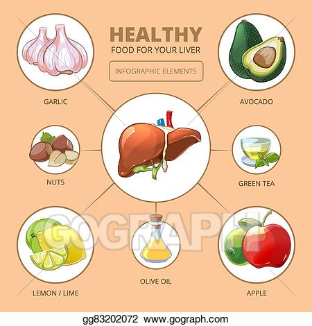 Liver clipart liver food. Vector illustration healthy foods