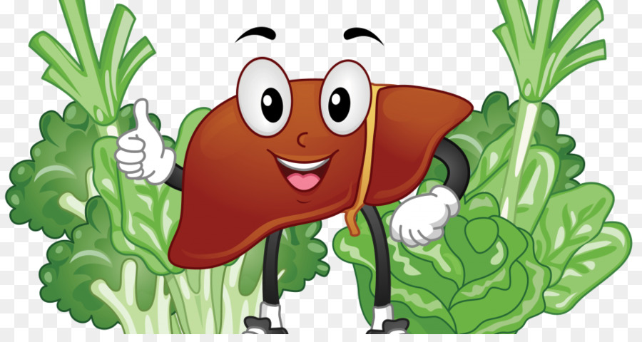 Clip art illustration image. Liver clipart liver food