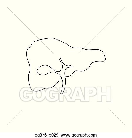 liver clipart outline