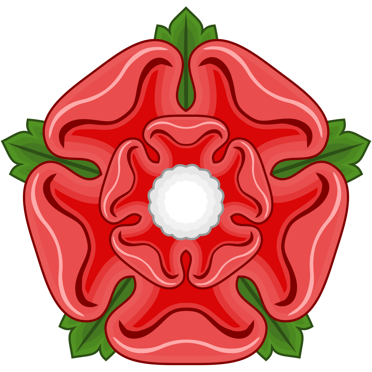 Liver clipart red. Rose page