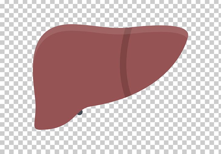 Computer icons png angle. Liver clipart red