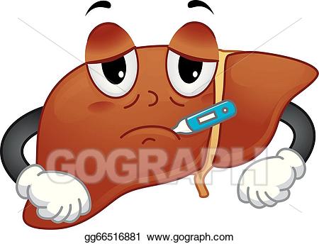 Vector stock illustration gg. Liver clipart sick