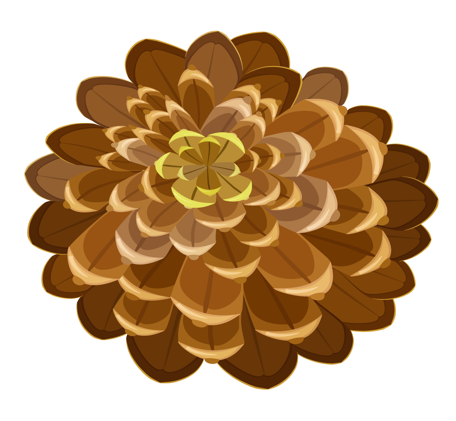 Pine cone png image. Pinecone clipart clip art