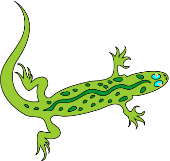 gecko clipart reptile