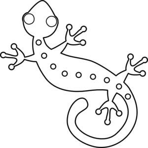 Lizard clipart aboriginal. Printable outline google search