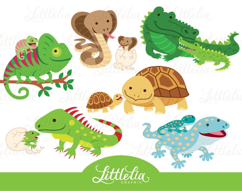 lizard clipart baby