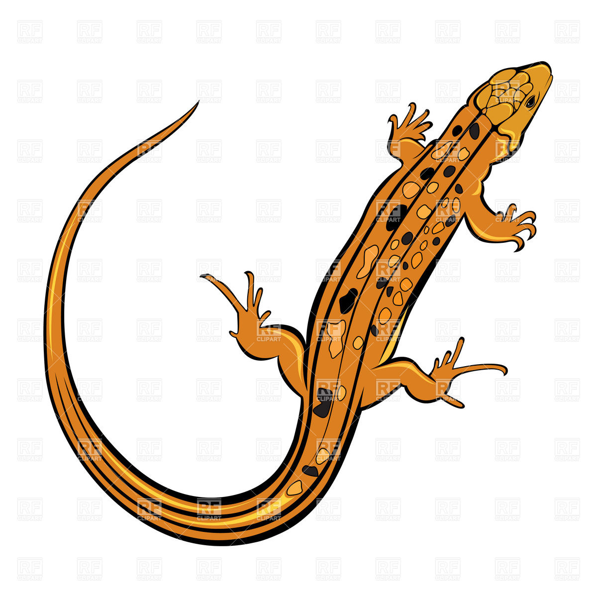 Lizard clipart clip art. Cliparts and others inspiration