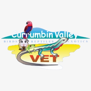 Lizard clipart cold blooded animal. Transparent cartoon 