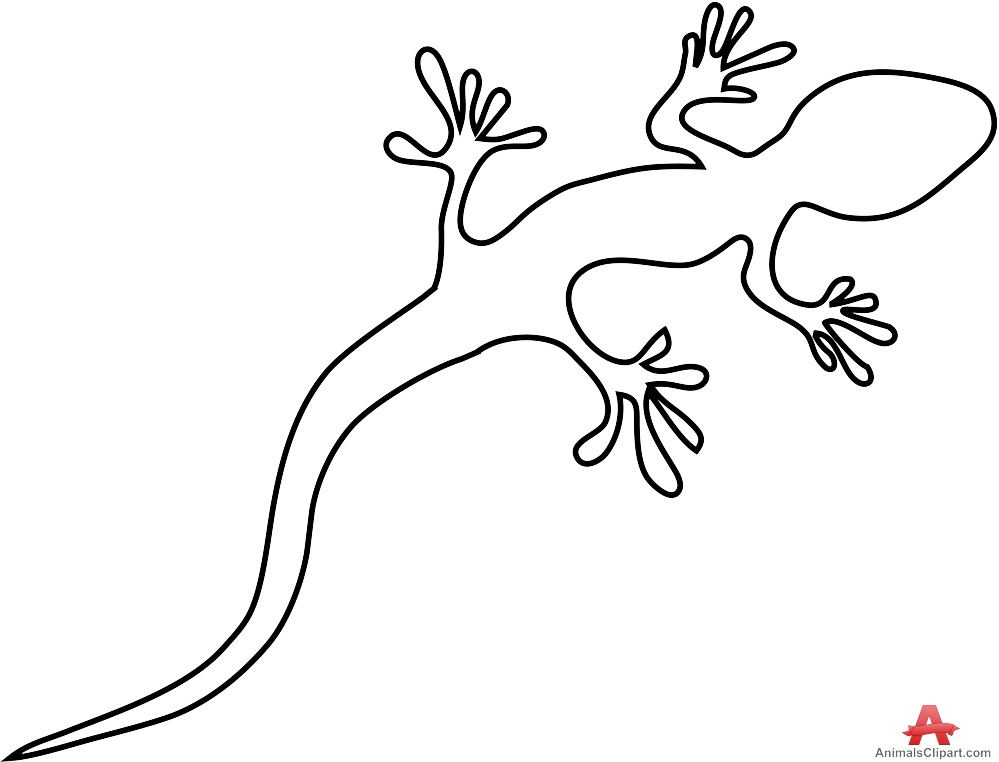 lizard clipart drawn