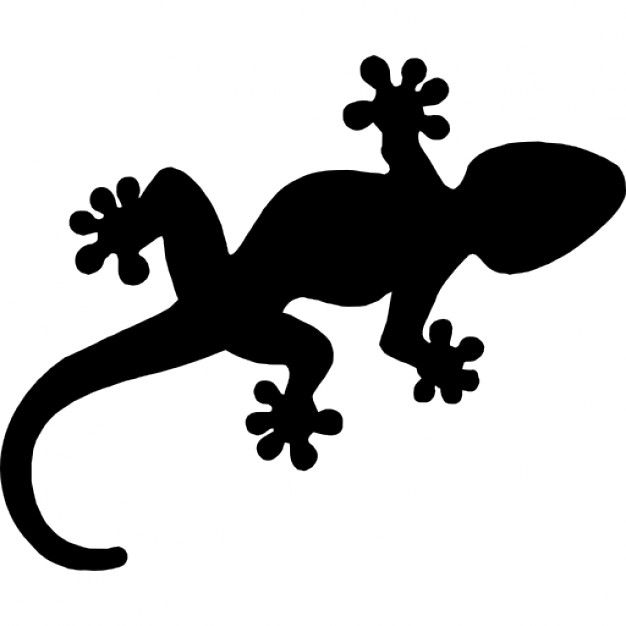 lizard clipart gekko