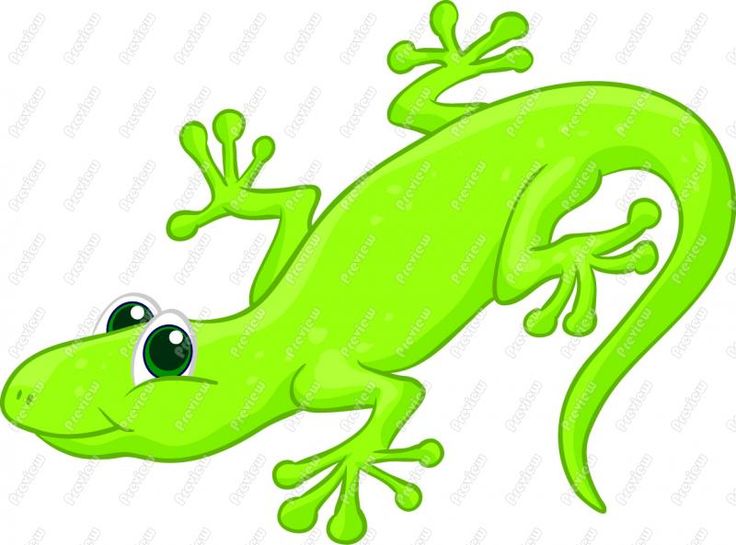 lizard clipart green lizard
