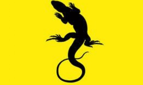 X free clip art. Lizard clipart hole book