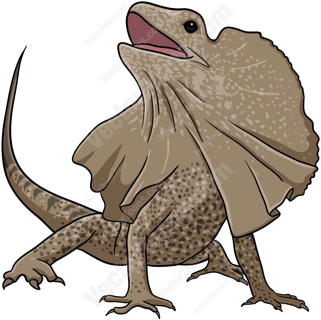 Lizard clipart lizard australian. Brown frill necked frillneckedlizard