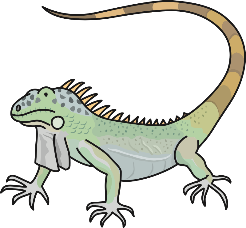 iguana clipart lizard tail