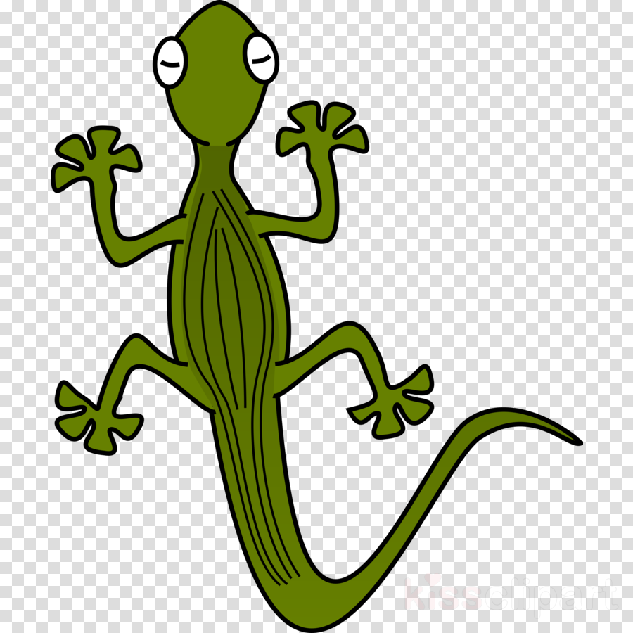 Download Lizard Clipart Printable Lizard Printable Transparent Free For Download On Webstockreview 2021