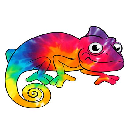 lizard clipart rainbow