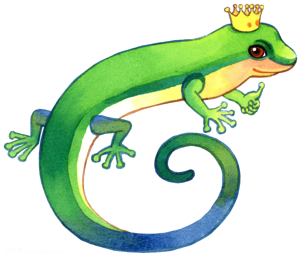Cartoon illustration children s. Lizard clipart reptile amphibian