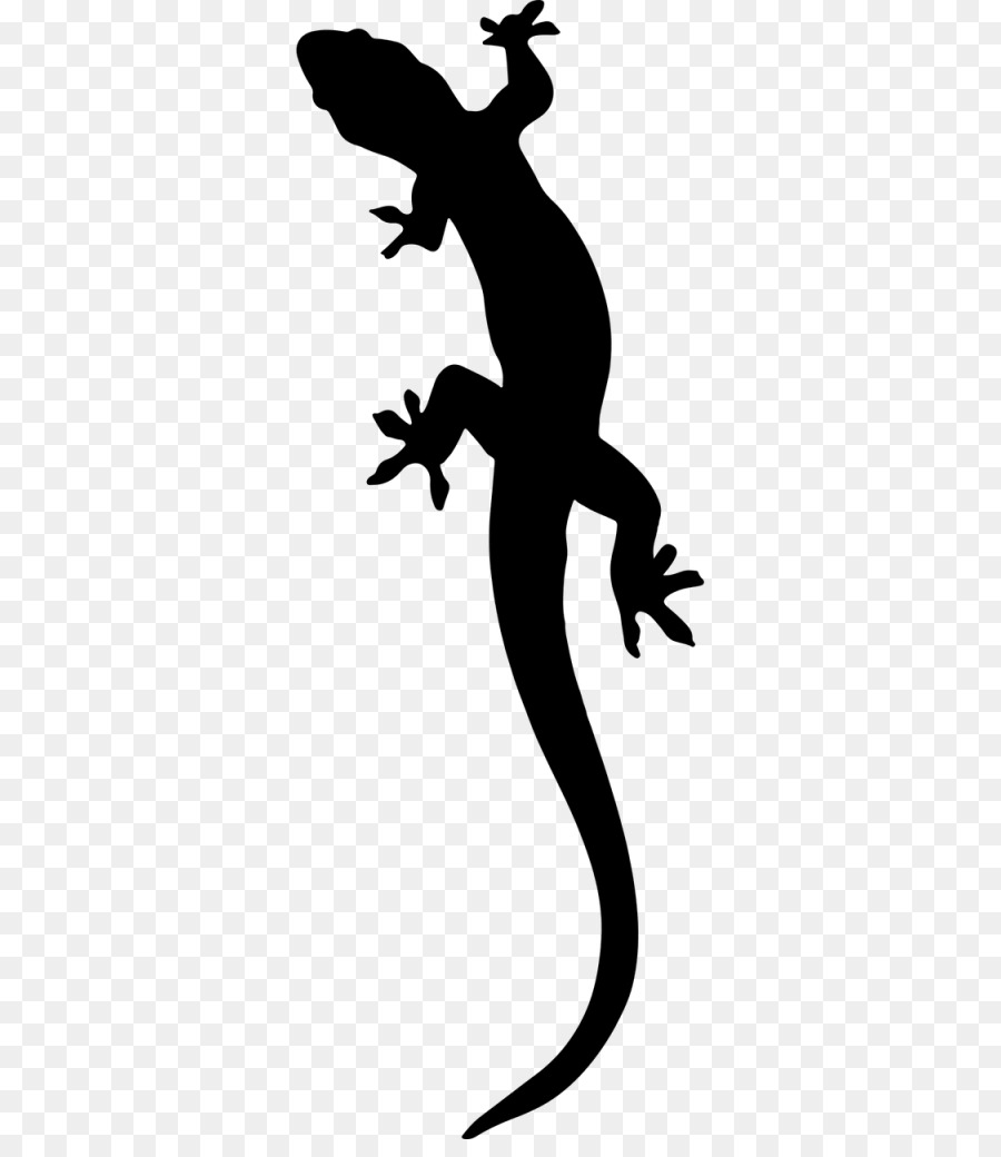 Lizard clipart salamander. Gecko clip art 
