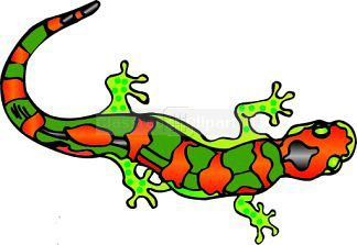 Lizard clipart salamander. Free cliparts download clip