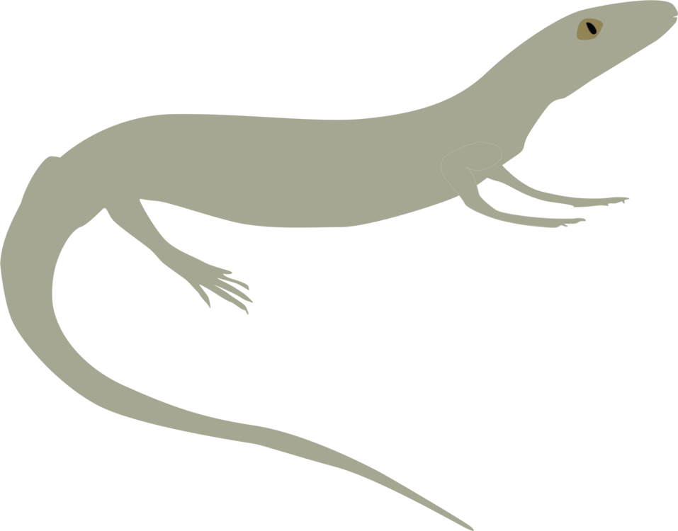 lizard clipart vertebrate
