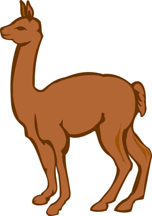 llama clipart fluffy