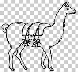 llama clipart inca empire