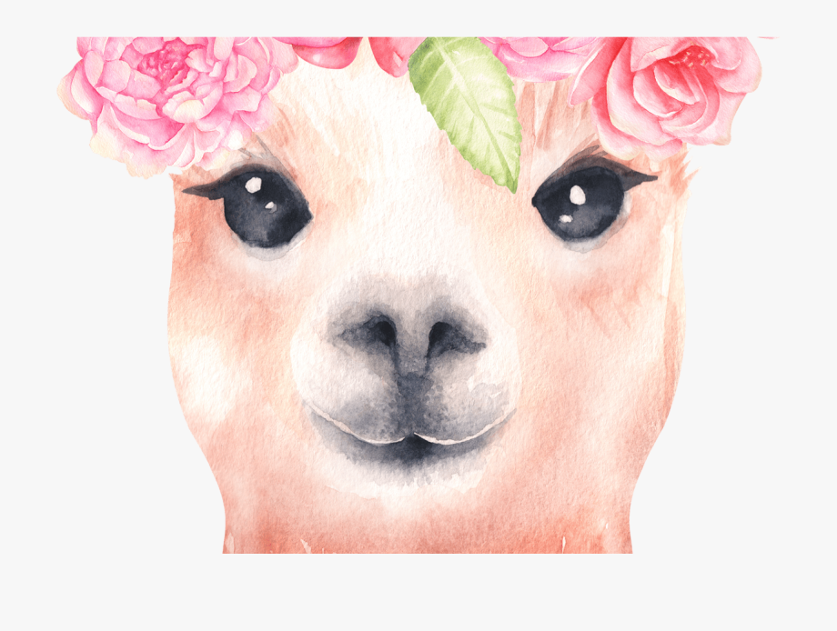 llama clipart pink