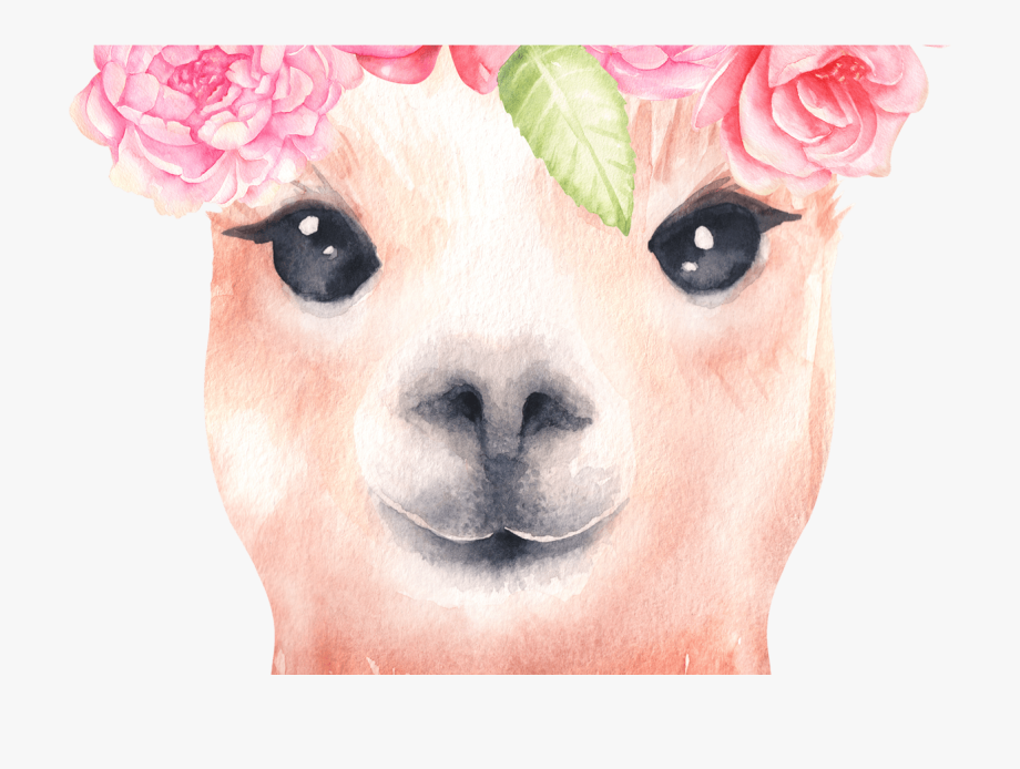 Watercolor graphics . Llama clipart pink