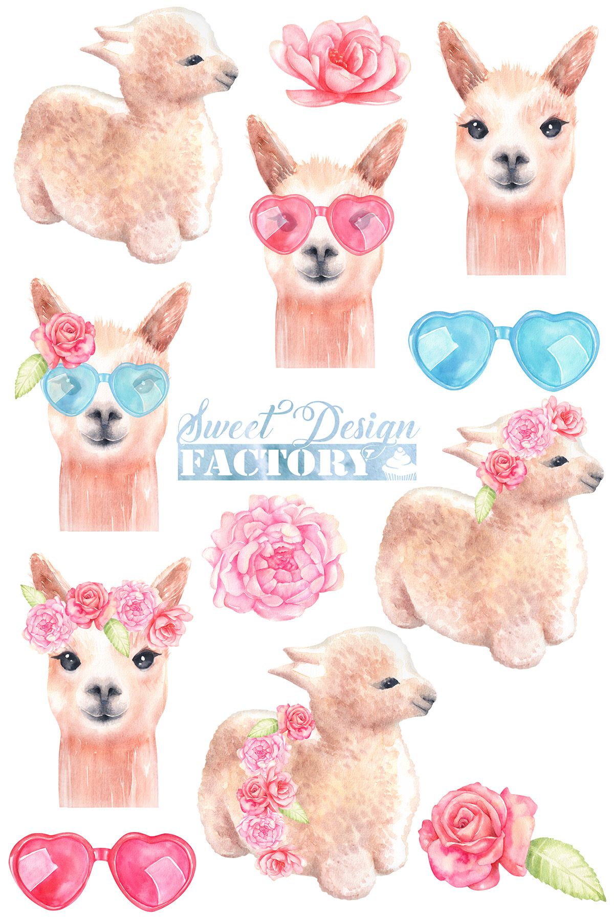 Lama animaux aquarelle . Llama clipart watercolor