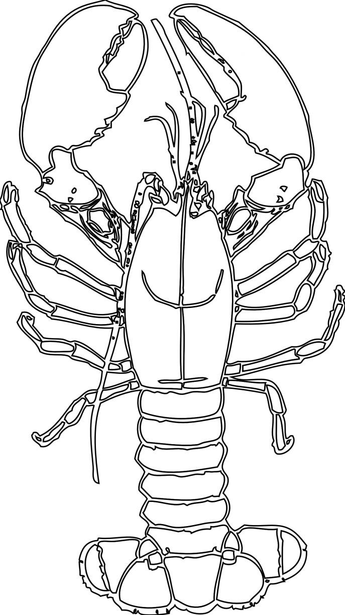 Lobster clipart coloring page Lobster coloring page Transparent FREE