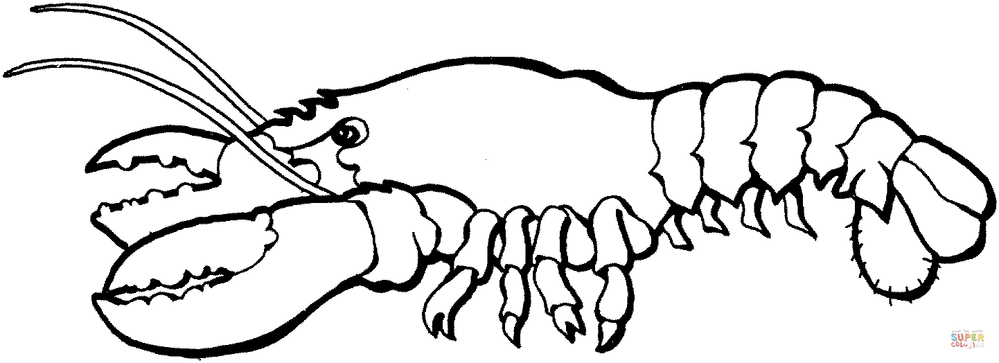 lobster clipart coloring page