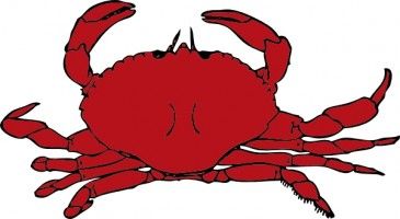 lobster clipart crab