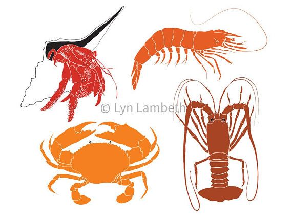 lobster clipart crustacean