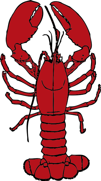 lobster clipart invertebrate
