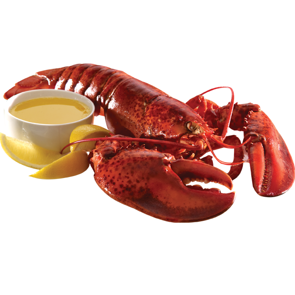 Lobster clipart lobster dinner. Png images
