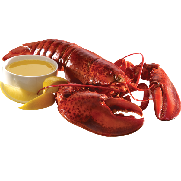 lobster clipart lobster dish