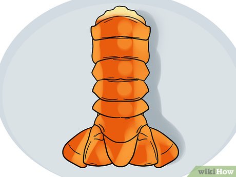 Lobster clipart lobster tail. How to get a