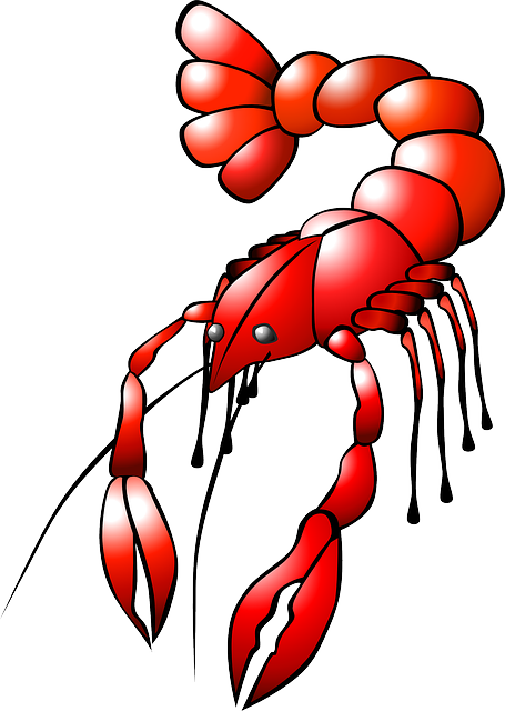 Lobster clipart red animal. Crayfish food sea crawl