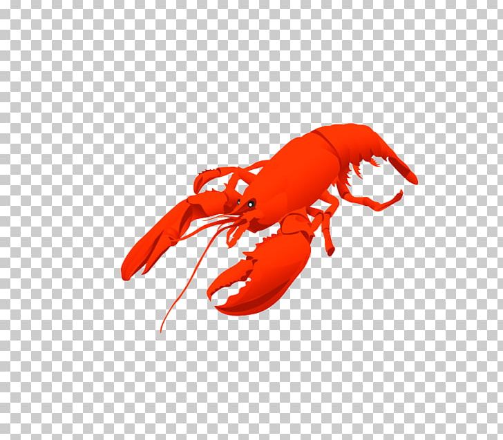 Png animals source foods. Lobster clipart red animal