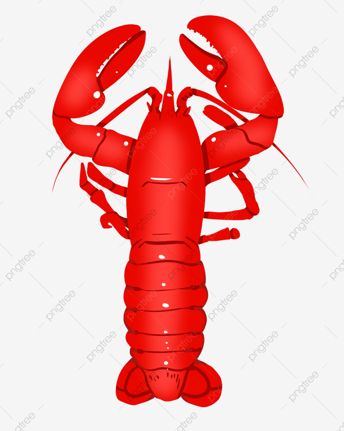 lobster clipart red animal