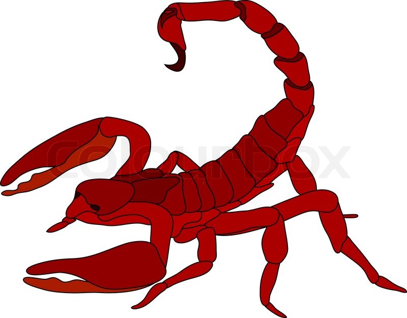 lobster clipart scorpion