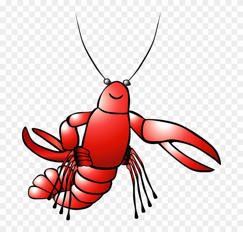 Lobster clipart shell fish. Shellfish free 