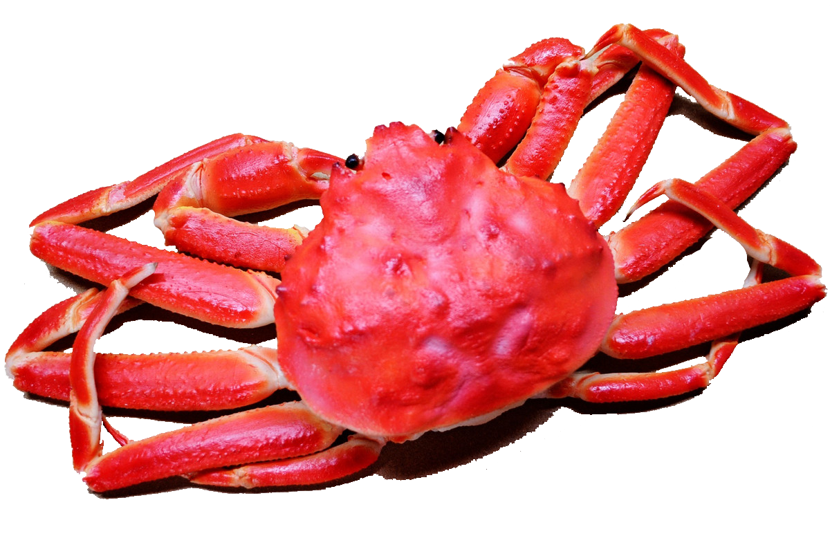 lobster clipart snow crab