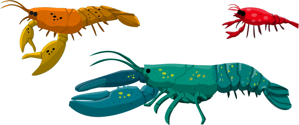 lobster clipart spiny