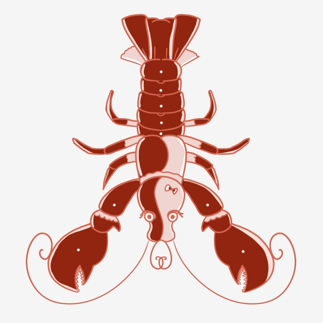 lobster clipart swimming