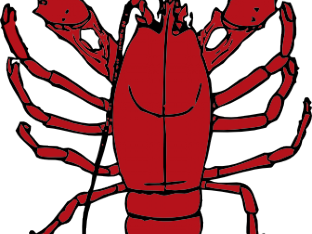 lobster clipart uncooked