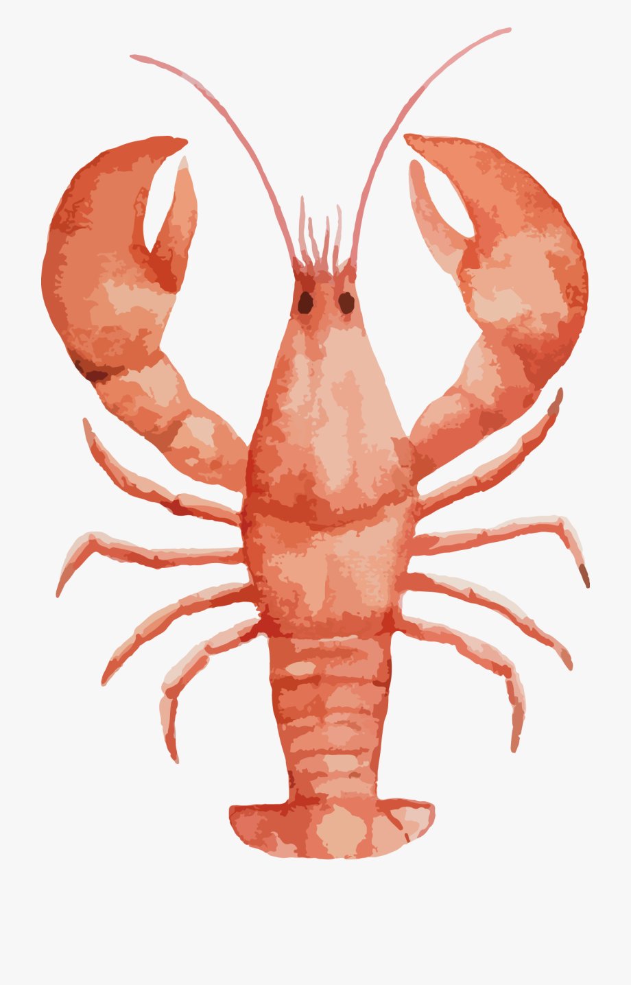 lobster clipart watercolor